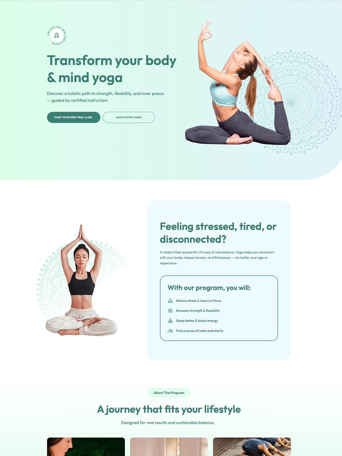 10+ EComposer Landing Package